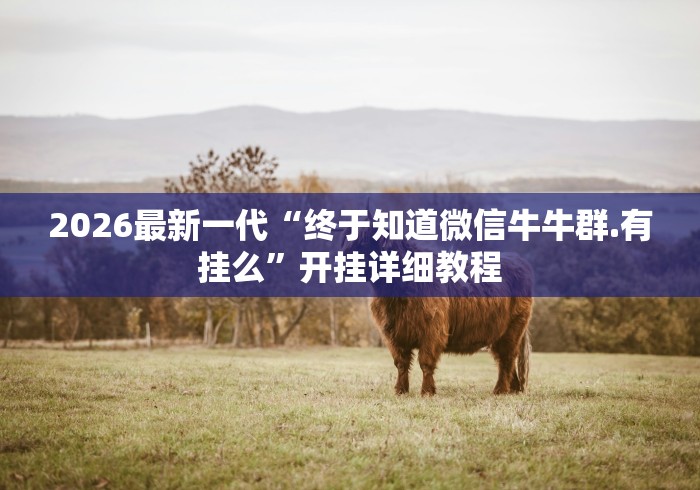 2026最新一代“终于知道微信牛牛群.有挂么	”开挂详细教程