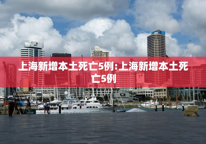 2026最新版下载“微信小程序微乐四川麻将必赢神器”揭秘透视辅助万能挂