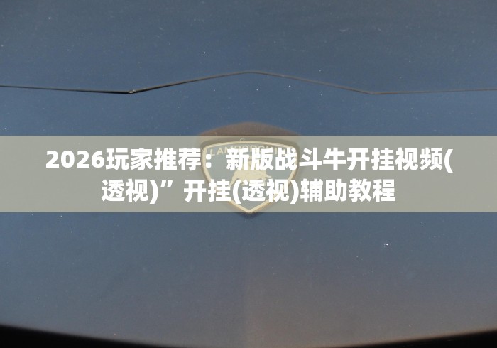 2026玩家推荐：新版战斗牛开挂视频(透视)”开挂(透视)辅助教程