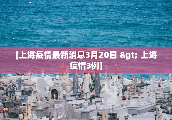3分钟学会“炸金花外卦神器视频”必胜开挂神器