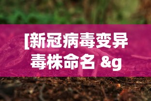 3分钟学会“夜猫麻将有挂吗”(原来确实是有插件)