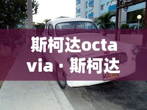 [教程经验]“皮皮云南麻将开挂神器	”开挂神器{透视辅助}全揭秘