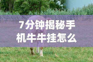 7分钟揭秘黑科技微信红包透视”详细分享装挂步骤教程