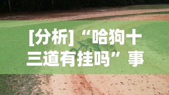 [分析]“哈狗十三道有挂吗	”事实上确实有挂
