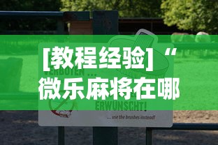 [教程经验]“微乐麻将在哪里买挂”辅助透视教程