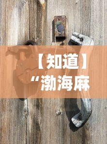 【知道】“渤海麻将怎么开挂的?_游戏_玩家_工具 【知道】“渤海麻将怎么开挂的?_游戏_玩家_工具
