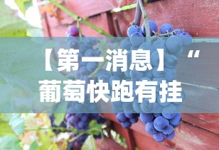 【第一消息】“葡萄快跑有挂吗	”(其实是有挂)
