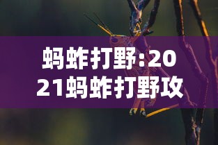 分享实测攻略“胡乐安庆麻将开挂器免费版”有挂详细开挂教程
