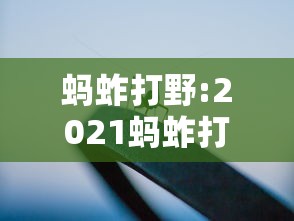 开挂辅助工具“微乐江西麻将有挂么	”揭秘透视辅助万能挂用法