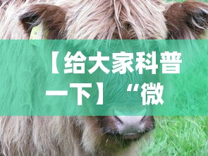 【给大家科普一下】“微信斗牛开挂神器下载安装	”开挂神器{透视辅助}全揭秘