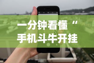 一分钟看懂“手机斗牛开挂透视软件新道游”(详细开挂教程)