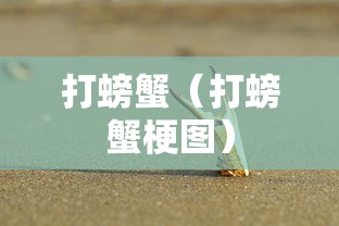 必看攻略“先锋大厅挂怎么购买”详细开挂教程