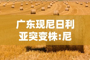 今日教程“新道游斗牛开挂神器”(原来确实是有插件)