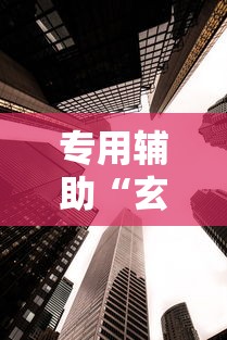 专用辅助“玄龙大厅透视辅助到哪里购买”分享用挂教程