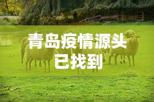 一分钟了解“微信炸 金花房卡怎么卖”房卡使用教程