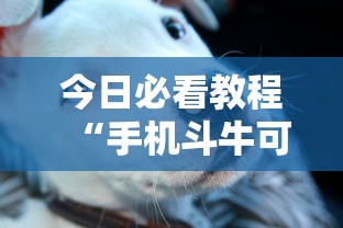 今日必看教程“手机斗牛可以作弊吗”其实确实有挂