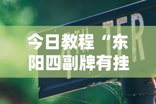 今日教程“东阳四副牌有挂吗”详细辅助透视