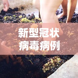 实测!“微乐免费房间怎么开挂”开挂辅助脚本+详细开挂