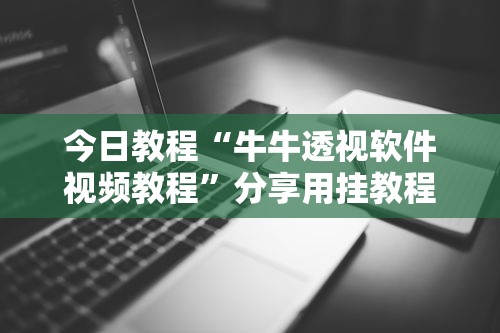 今日教程“牛牛透视软件视频教程”分享用挂教程