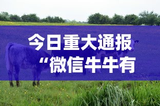 今日重大通报“微信牛牛有什么规律吗	”(必备工具)辅助教学