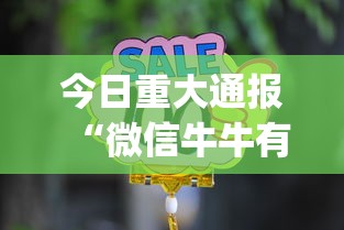 今日重大通报“微信牛牛有什么规律吗”(必备工具)辅助教学