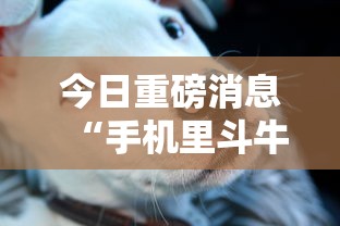 今日重磅消息“手机里斗牛怎么开挂”有挂详细开挂教程