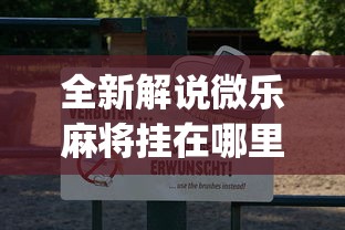 全新解说微乐麻将挂在哪里买”(透视挂)辅助透视教程