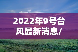 实操教程“决战十三水开挂神器	”揭秘透视辅助万能挂