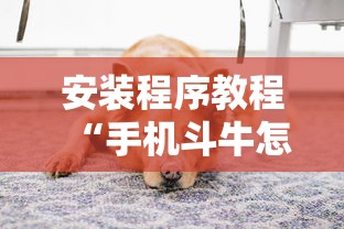 必看科普“微壳跑胡子开挂神器下载”2025开挂教程步骤