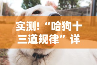实测!“哈狗十三道规律	”详细分享装挂