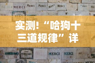 实测!“哈狗十三道规律”详细分享装挂