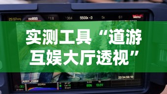 实测工具“道游互娱大厅透视	”确实可以使用辅助