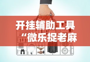 开挂辅助工具“微乐捉老麻子开挂神器下载安装”详细辅助透视