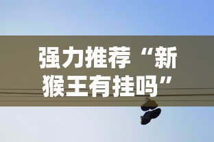 强力推荐“新猴王有挂吗	”详细分享装挂步骤