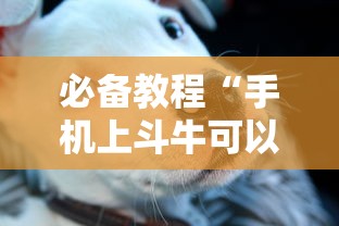 必备教程“手机上斗牛可以开挂嘛	”通用版下载教程！