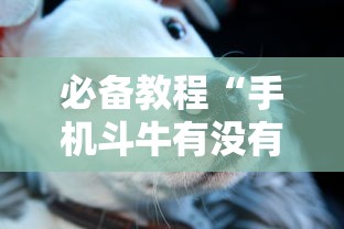 必看教程“新上游有挂吗”(果然有透视挂)